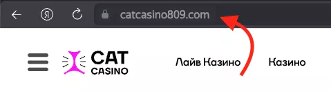 Рабочее зеркало Cat Casino